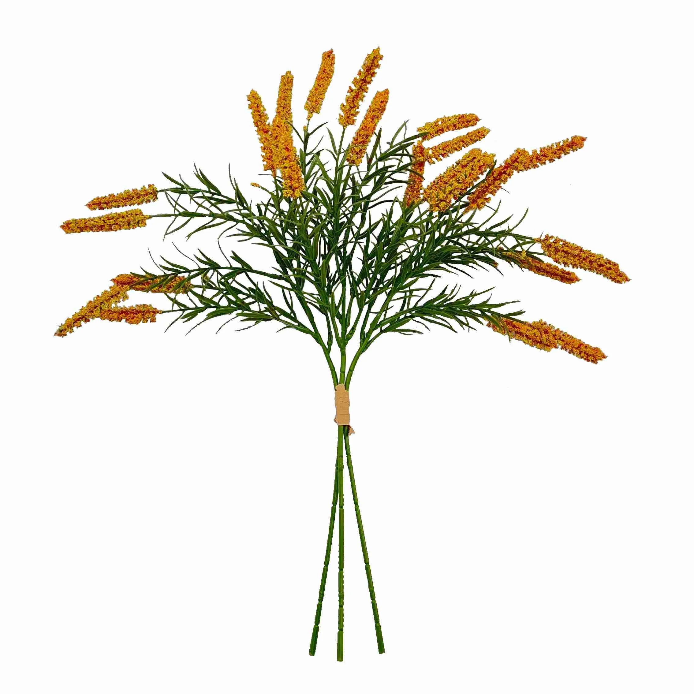 حزمة زهور القصب