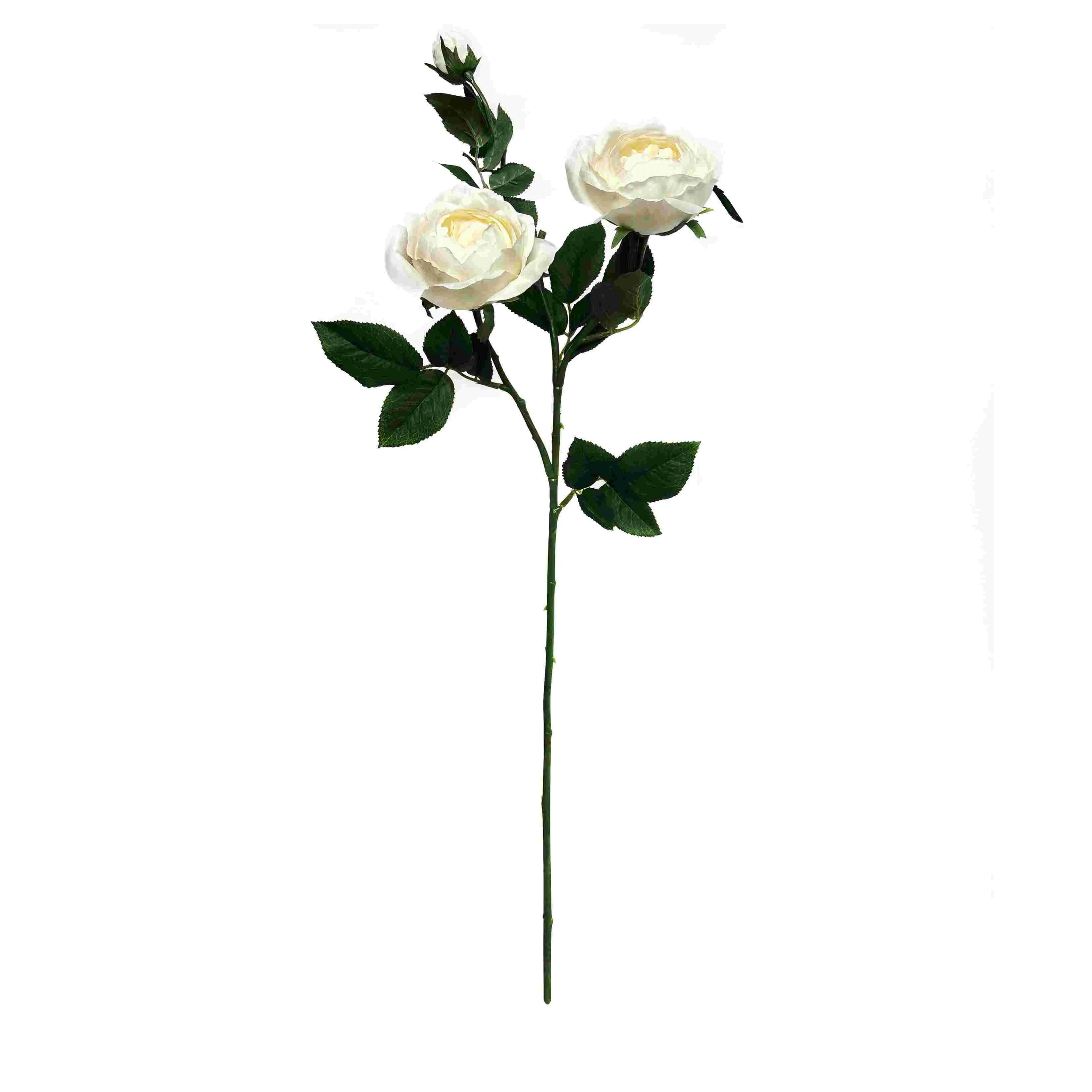 وردة واحدة