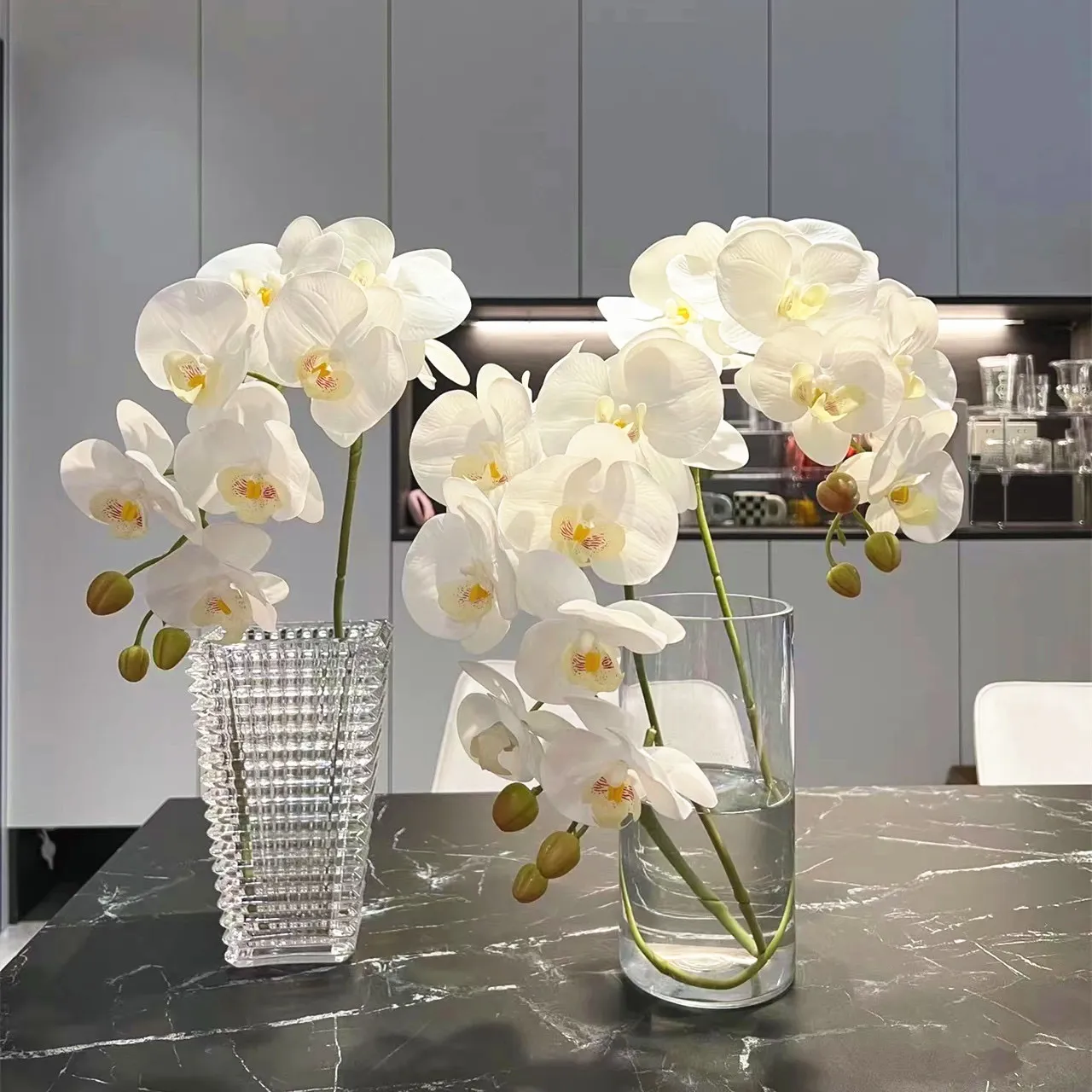 Phalaenopsis الأوركيد