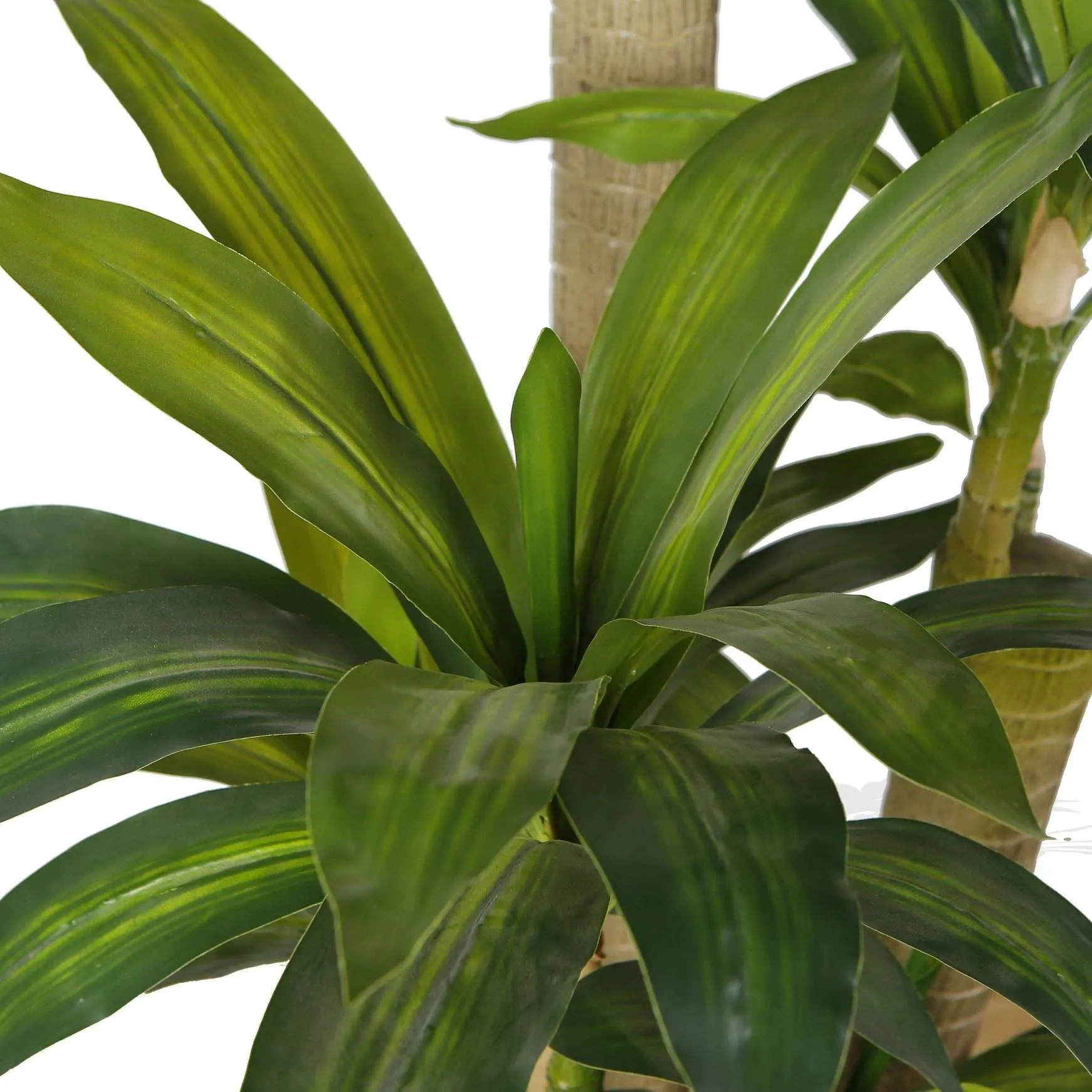 مصنع مصطنع لشجرة Draecena Tree Potted (أحجام متعددة)
