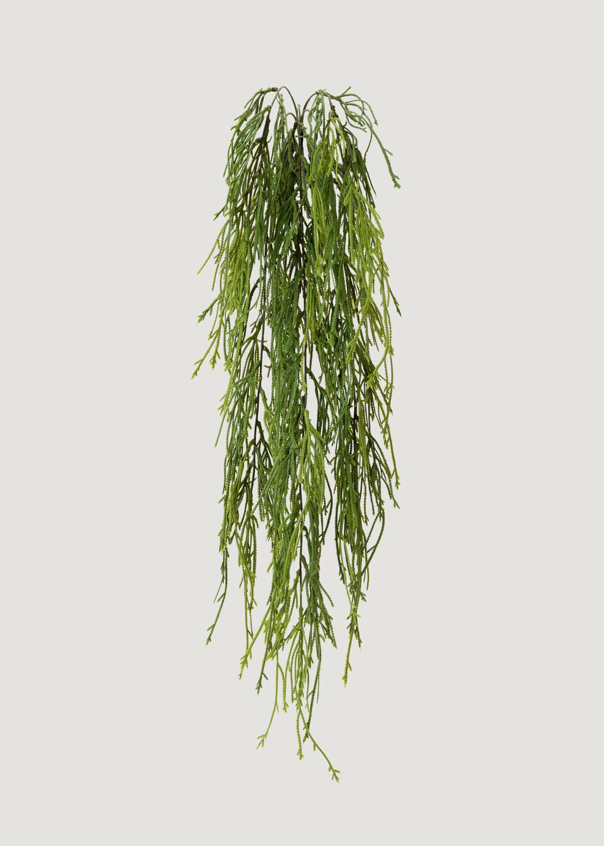Indoor_outdoor مزيف معلق نبات السرخس الطحلب بدءًا من 100