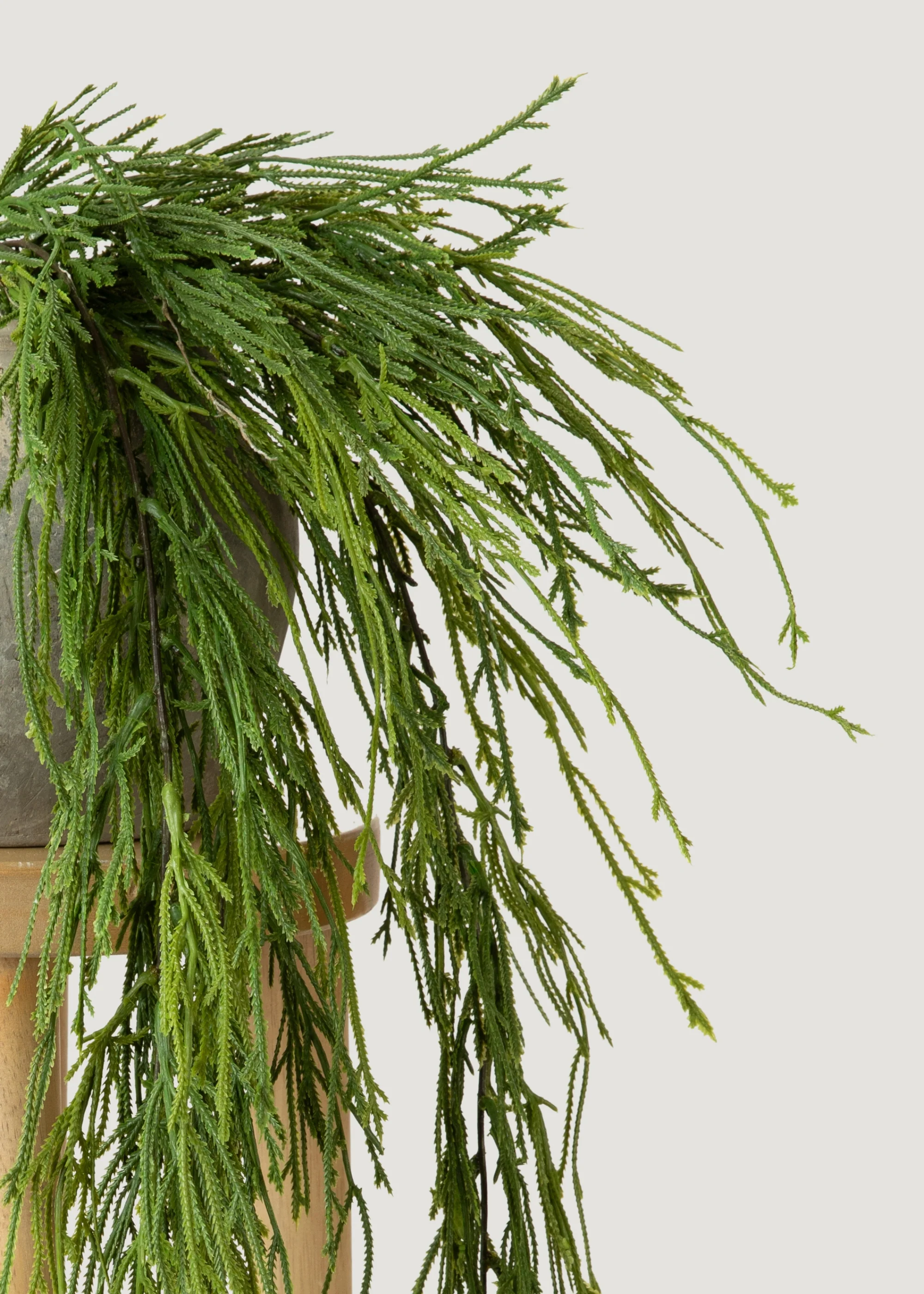 Indoor_outdoor مزيف معلق نبات السرخس الطحلب بدءًا من 100
