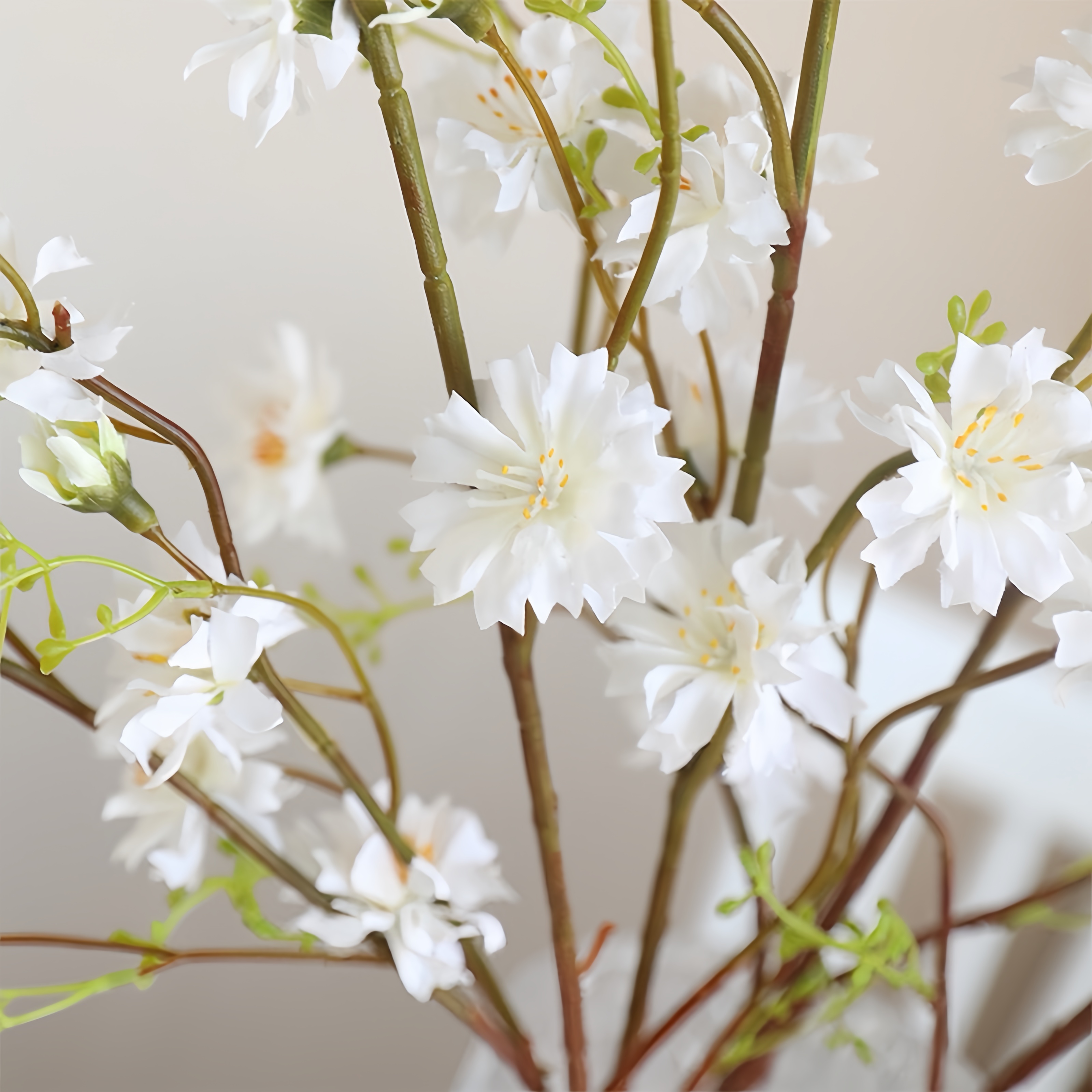 فرع الصفصاف الاصطناعي chrysanthemum