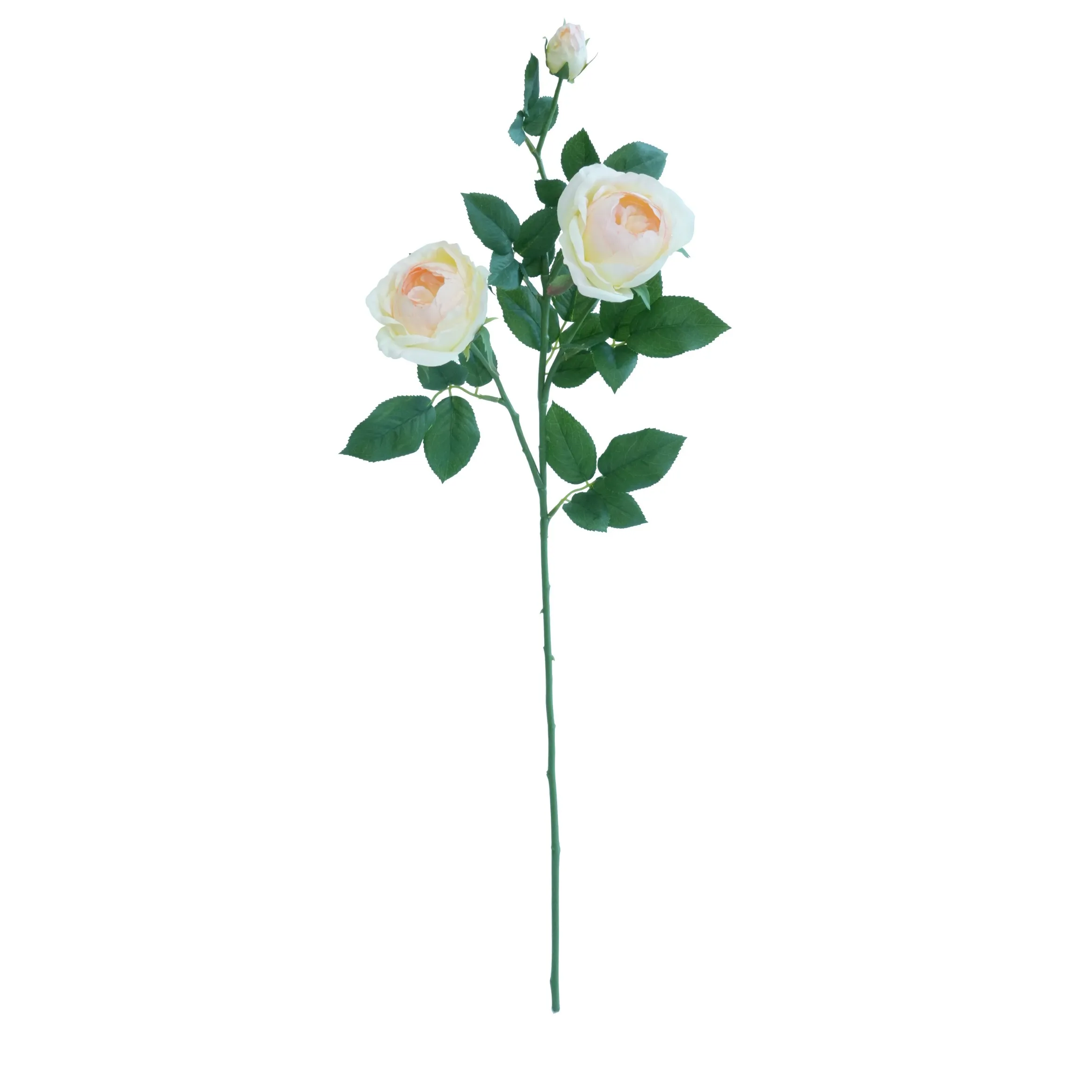 وردة واحدة