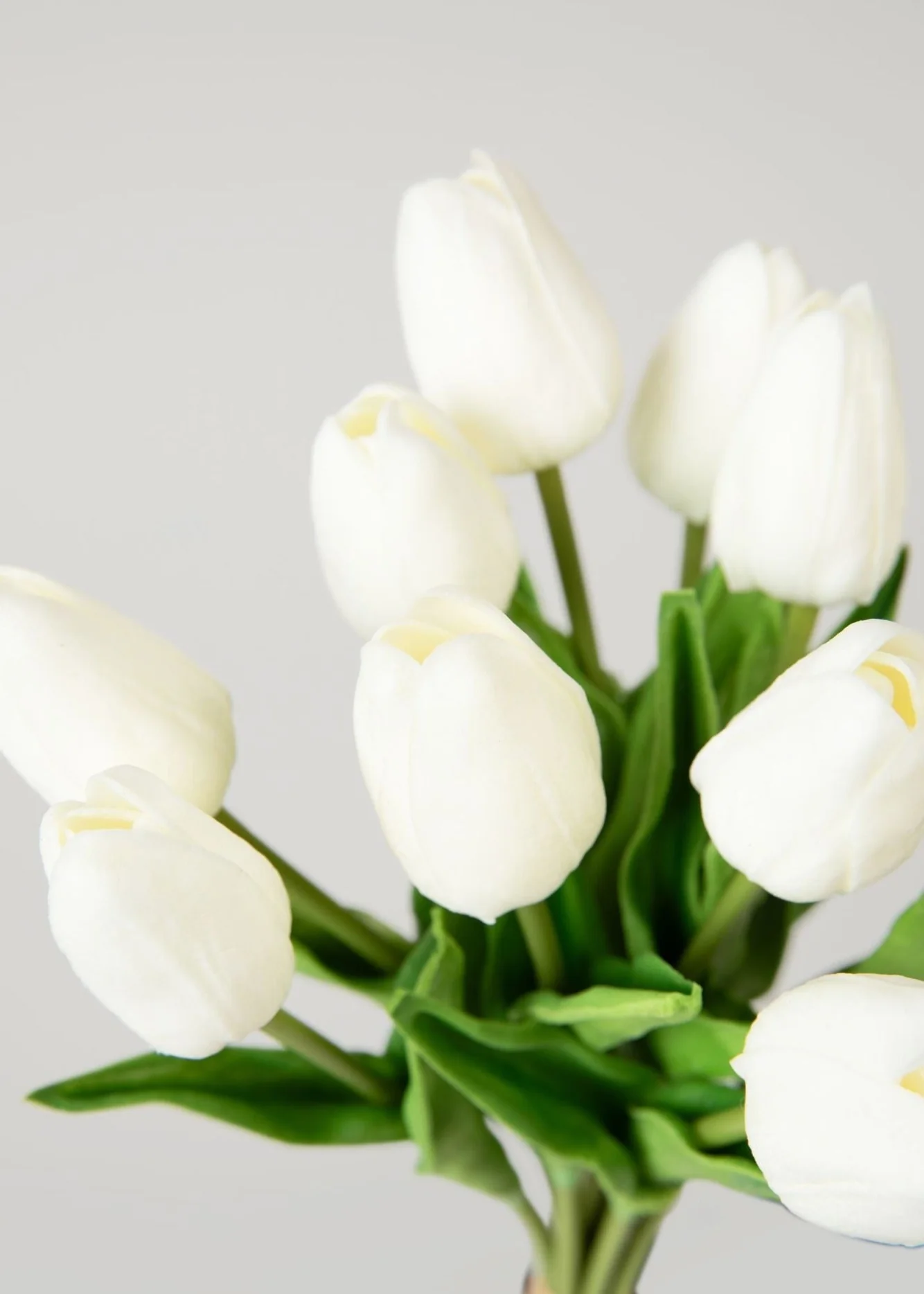 الزهور الاصطناعية TULIP TOULIP
