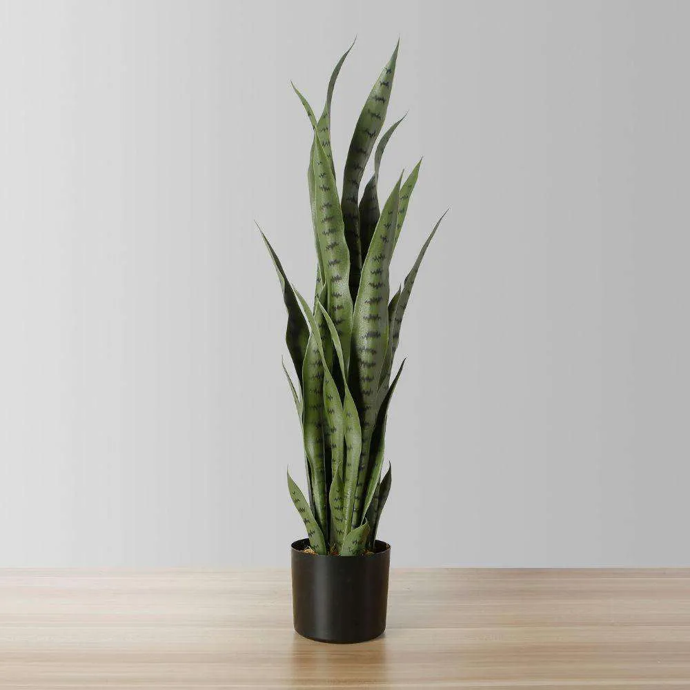 الأفعى الاصطناعية Sansevieria Green Potted Plant