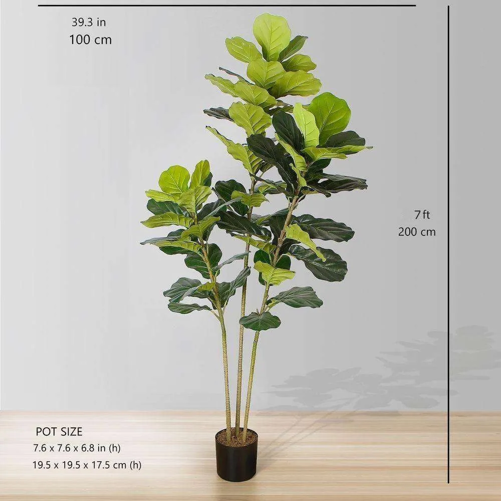 Lyrata Piddle Leaf Potted Plant (أحجام متعددة)