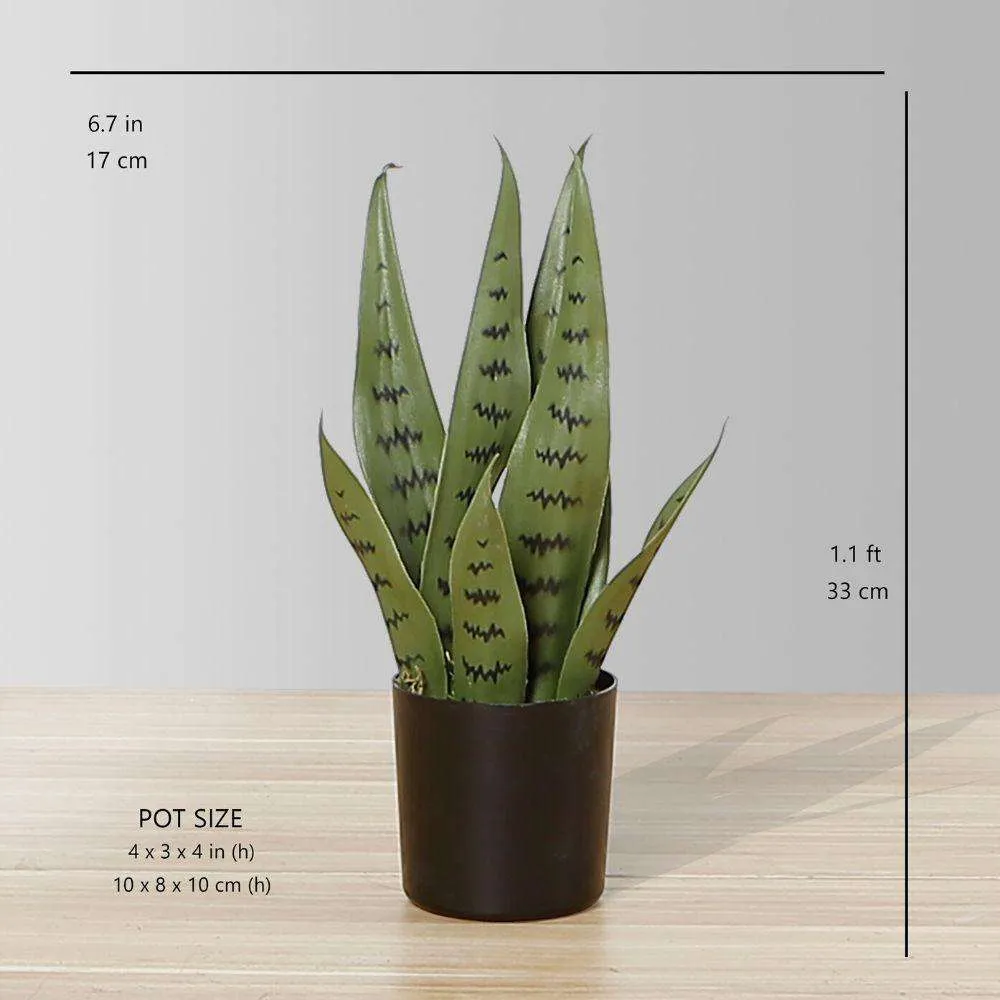 الأفعى الاصطناعية Sansevieria Green Potted Plant