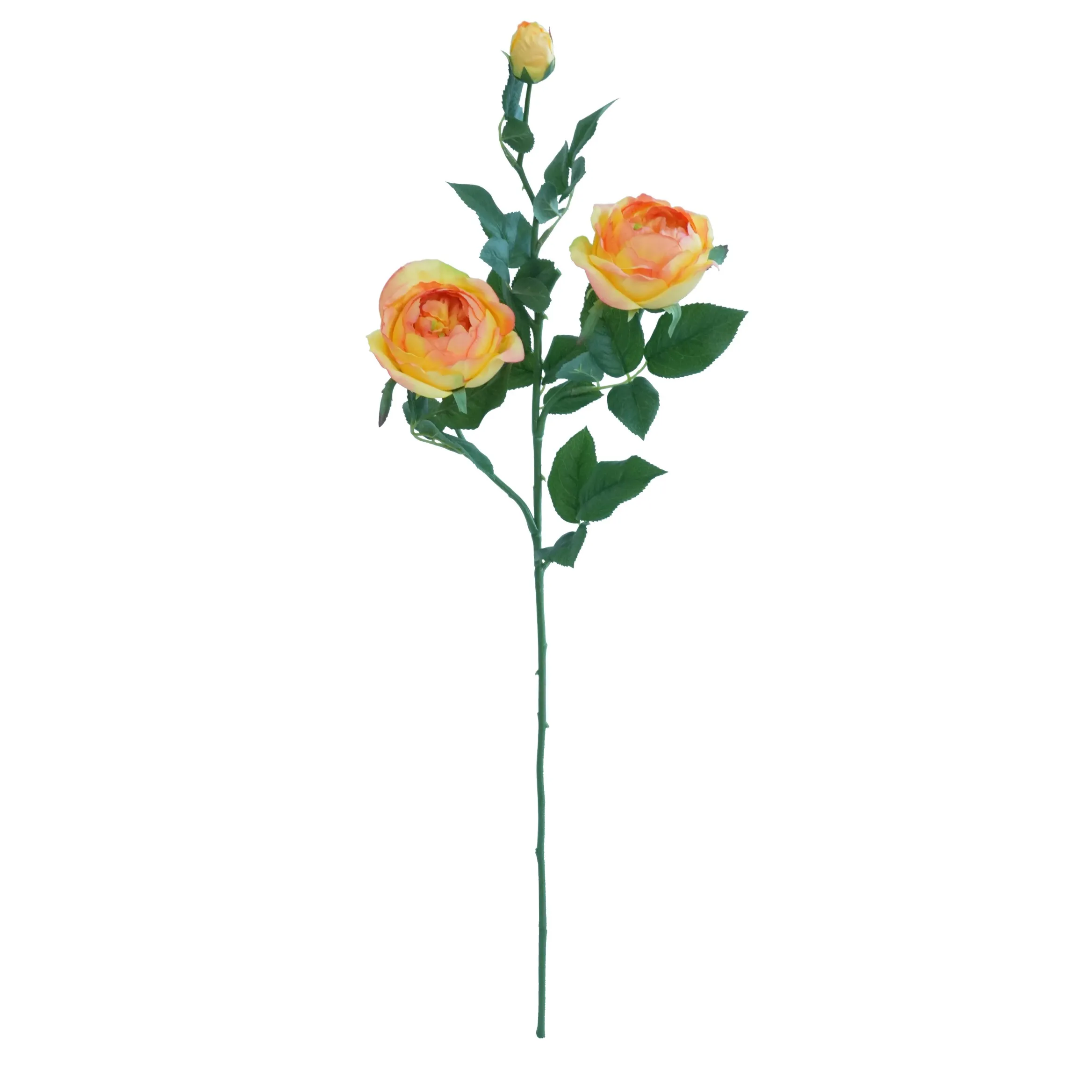 وردة واحدة