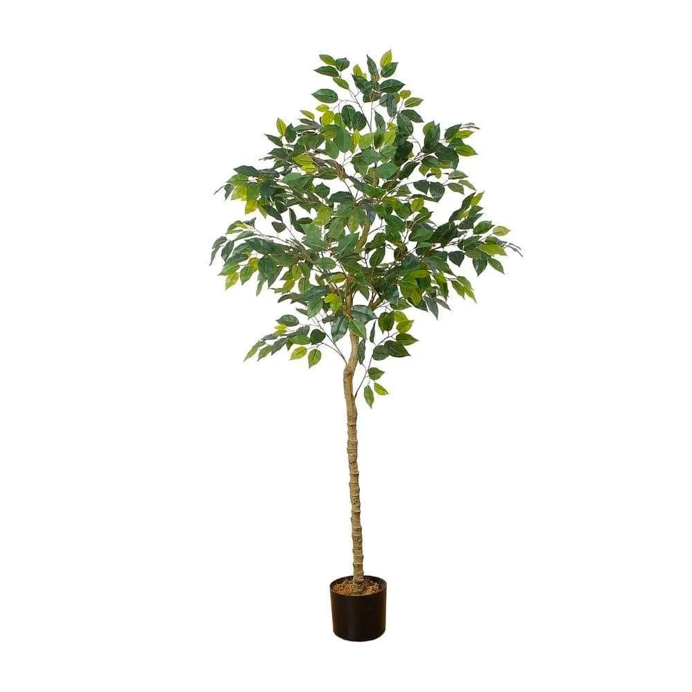النبات المصطنع لشجرة Ficus Potted (أحجام متعددة)