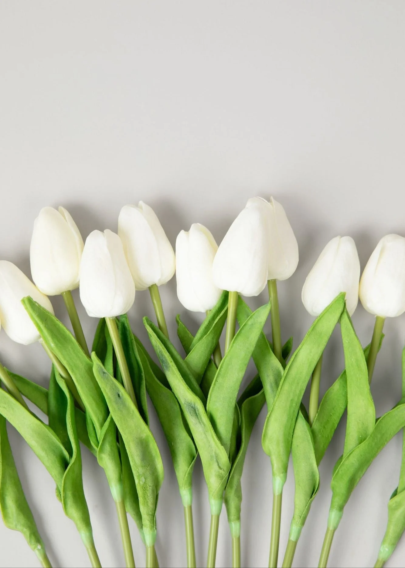 الزهور الاصطناعية TULIP TOULIP