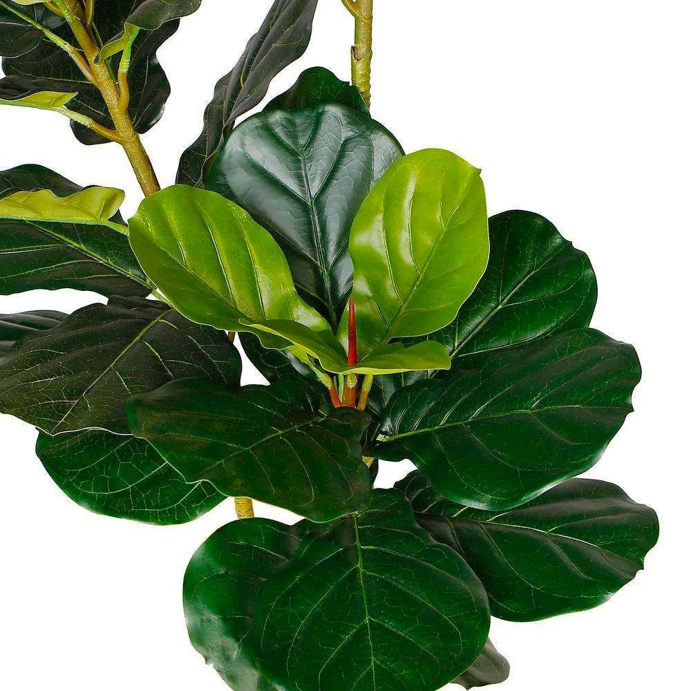 Lyrata Piddle Leaf Potted Plant (أحجام متعددة)