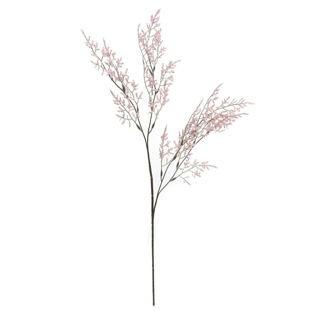 عشب عاشق واحد